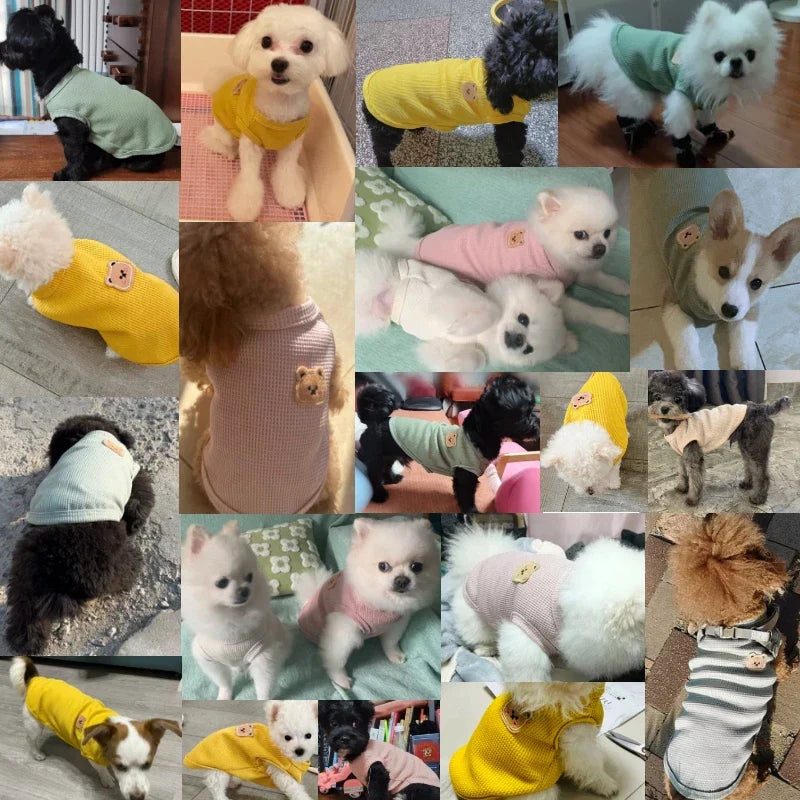 Pet Clothes Spring Summer Cat Dog T-shirt Breathable Waffle Vest Puppy Kitten Pet Supplies Chihuahua French Bulldog Clothing