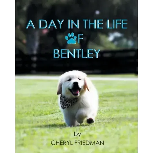 A Day in the Life of Bentley