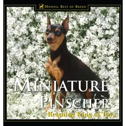 Miniature Pinscher: Reigning King of Toys