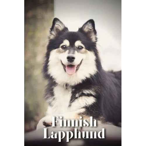 Finnish Lapphund: Dog breed overview and guide