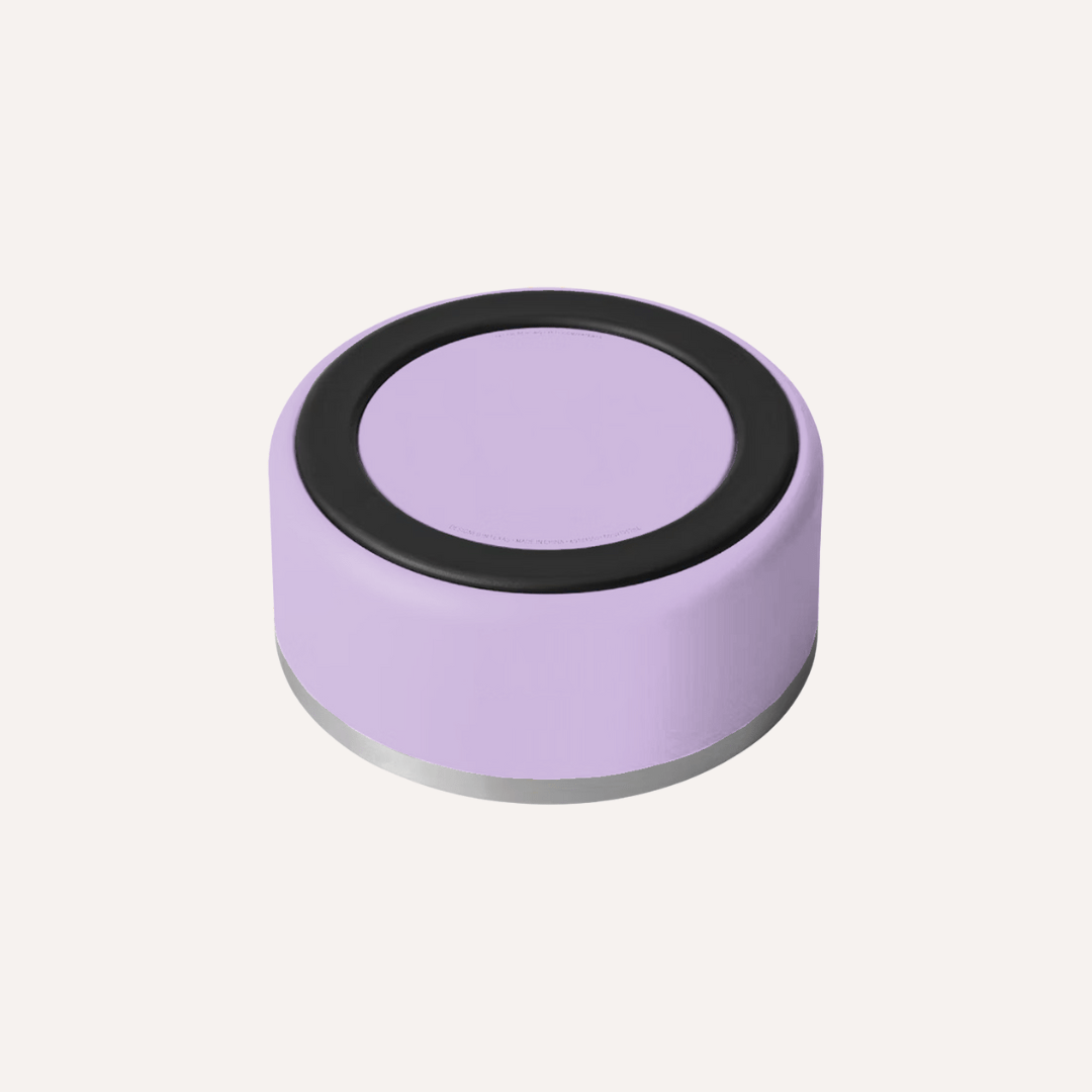 Gamelle pour animaux Tilley + Me en acier inoxydable – Antidérapante, durable et compatible lave-vaisselle | 946 ml et 1,9 L