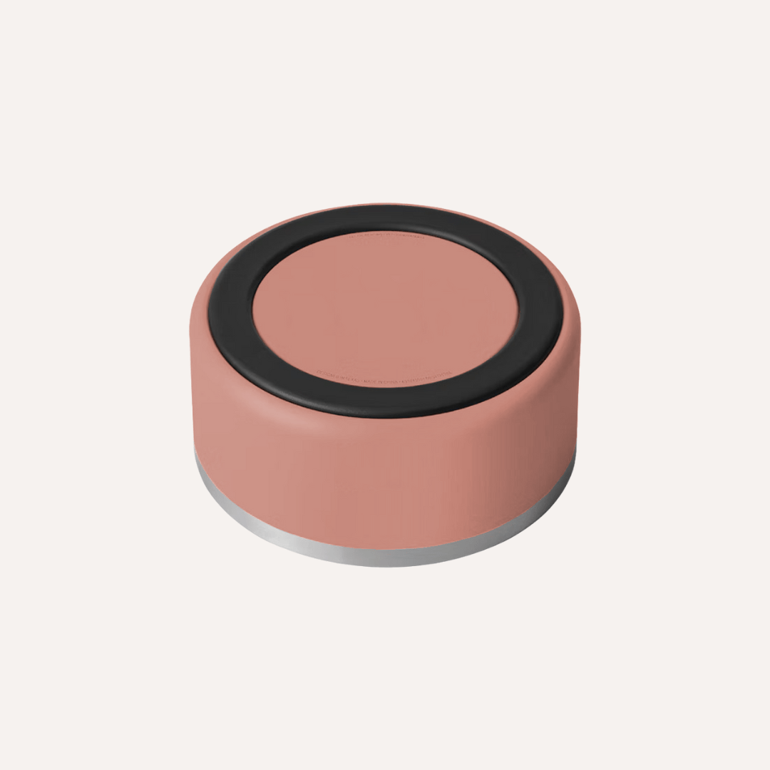 Gamelle pour animaux Tilley + Me en acier inoxydable – Antidérapante, durable et compatible lave-vaisselle | 946 ml et 1,9 L