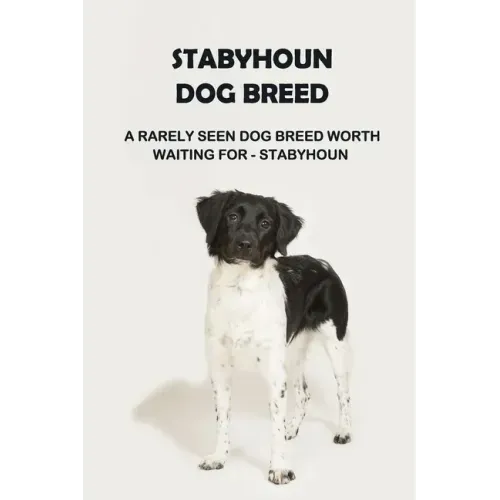 Stabyhoun Dog Breed: A Rarely Seen Dog Breed Worth Waiting for - Stabyhoun: Stabyhoun Dog Breed Information, Photos, Traits and Facts