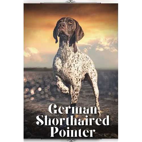 German Shorthaired Pointer: Dog breed overview and guide