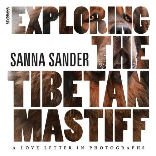 Exploring the Tibetan Mastiff: A Love Letter in Photographs