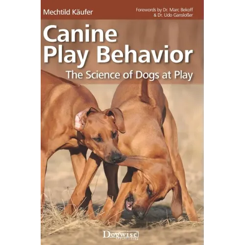 Canine Play Behavior: The Science of Dogs at Play