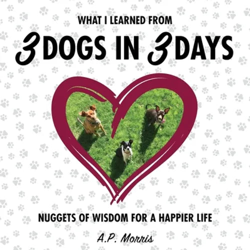 What I Learned from 3 Dogs in 3 Days: Nuggets of Wisdom for a Happier Life