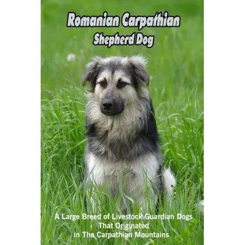 Romanian Carpathian Shepherd Dog: A Large Breed of Livestock Guardian Dogs That Originated in The Carpathian Mountains: What You Should Know About Rom