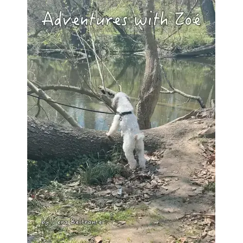 Adventures with Zoé