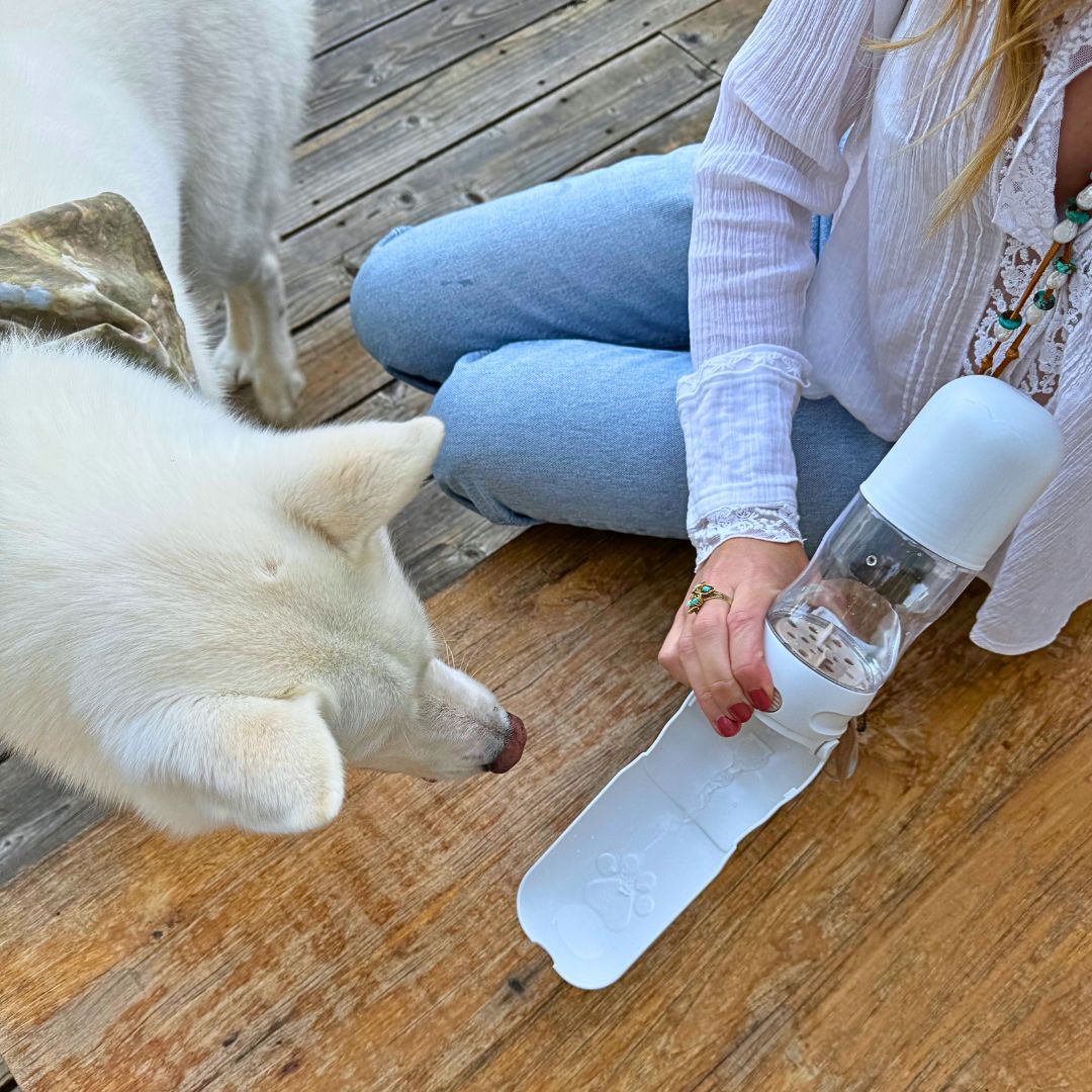 Tilley + Me Travel Dog Water Bottle with Treat Holder – Leakproof & BPA-Free 350mL