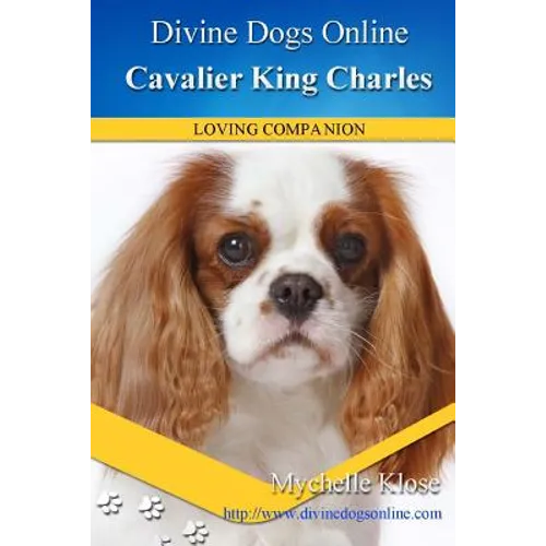 Cavalier King Charles Spaniel