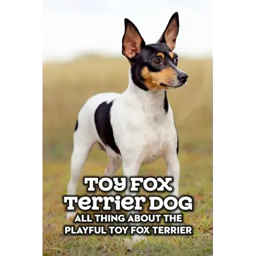 Toy Fox Terrier Dog: All Thing about The Playful Toy Fox Terrier: Toy Fox Terrier Dog Breed Complete Guide