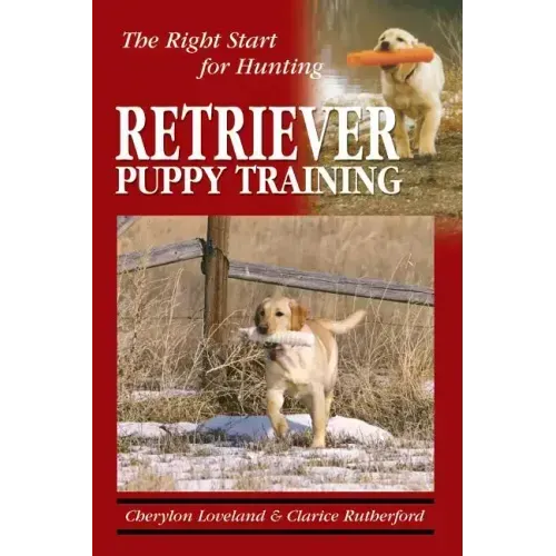 Retriever Puppy Training: The Right Start for Hunting