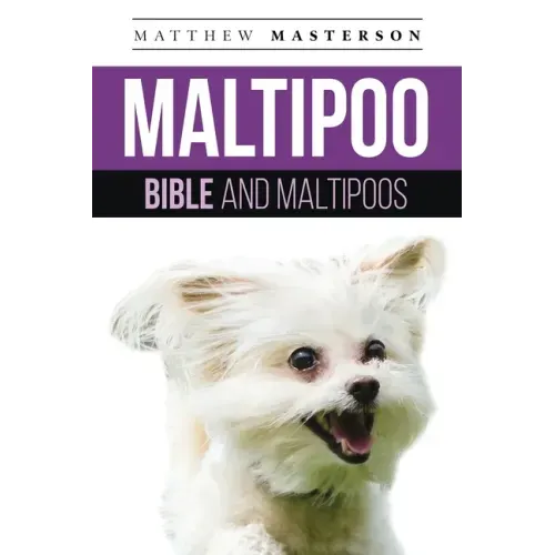 Maltipoo Bible And Maltipoos: Your Perfect Maltipoo Guide Maltipoo, Maltipoos, Maltipoo Puppies, Maltipoo Dogs, Maltipoo Breeders, Maltipoo Care, Ma