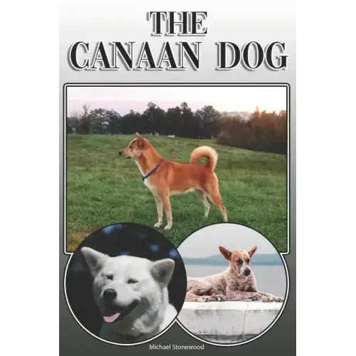 The Canaan Dog: A Complete and Comprehensive Owners Guide To: Buying, Owning, Health, Grooming, Training, Obedience, Understanding and