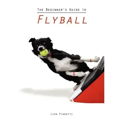 The Beginner's Guide to Flyball