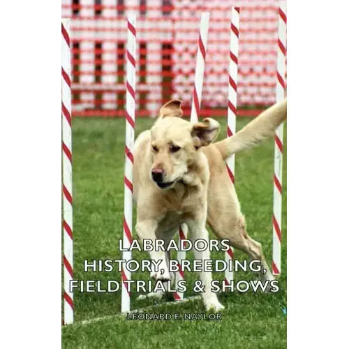 Labradors - History, Breeding, Field Trials & Shows