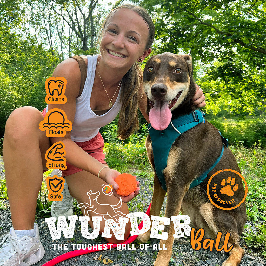 WUNDERBALL - Best Fetch Toy