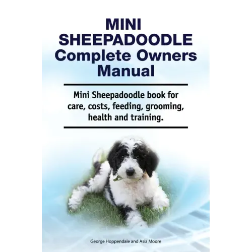 Mini Sheepadoodle Complete Owners Manual. Mini Sheepadoodle book for care, costs, feeding, grooming, health and training.