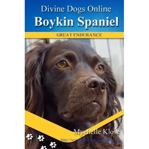 Boykin Spaniels: Divine Dogs Online