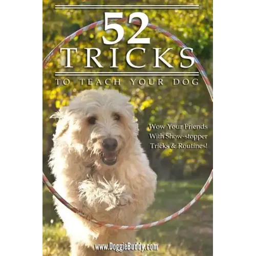 52 Tricks To Teach Your Dog