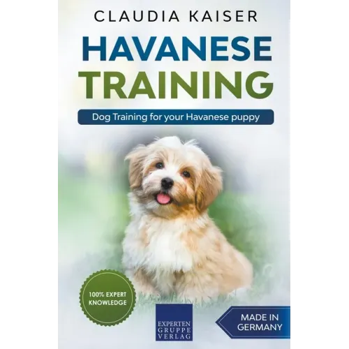 Havanese Training: Dog Training for Your Havanese Puppy