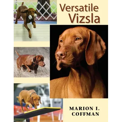 Versatile Vizsla