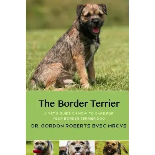 The Border Terrier: A vet's guide on how to care for your Border Terrier dog