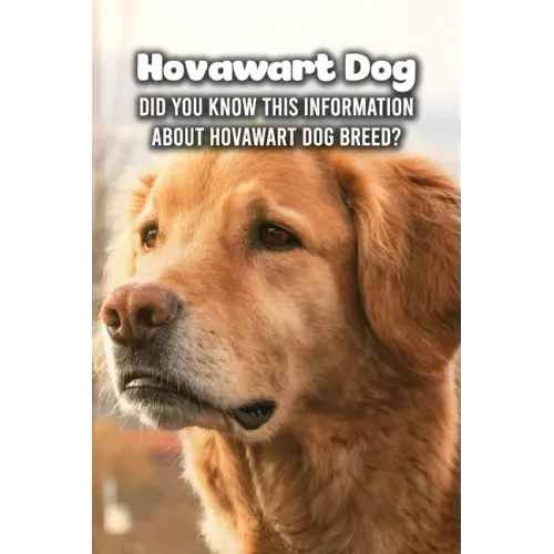 Hovawart Dog: Did You Know This Information About Hovawart Dog Breed?: Hovawart Dog Outline Handbook