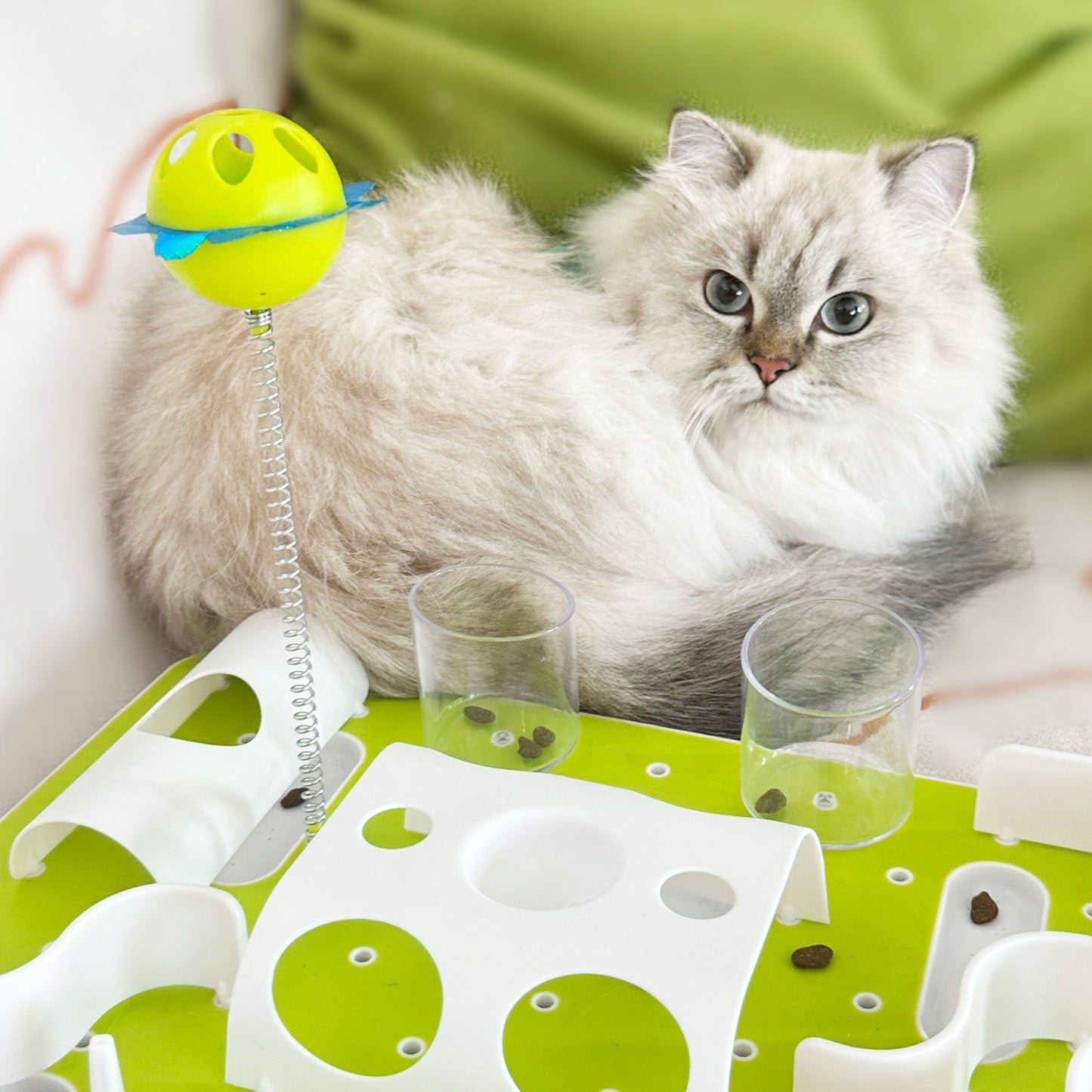 Interactive Food Puzzles For Cats