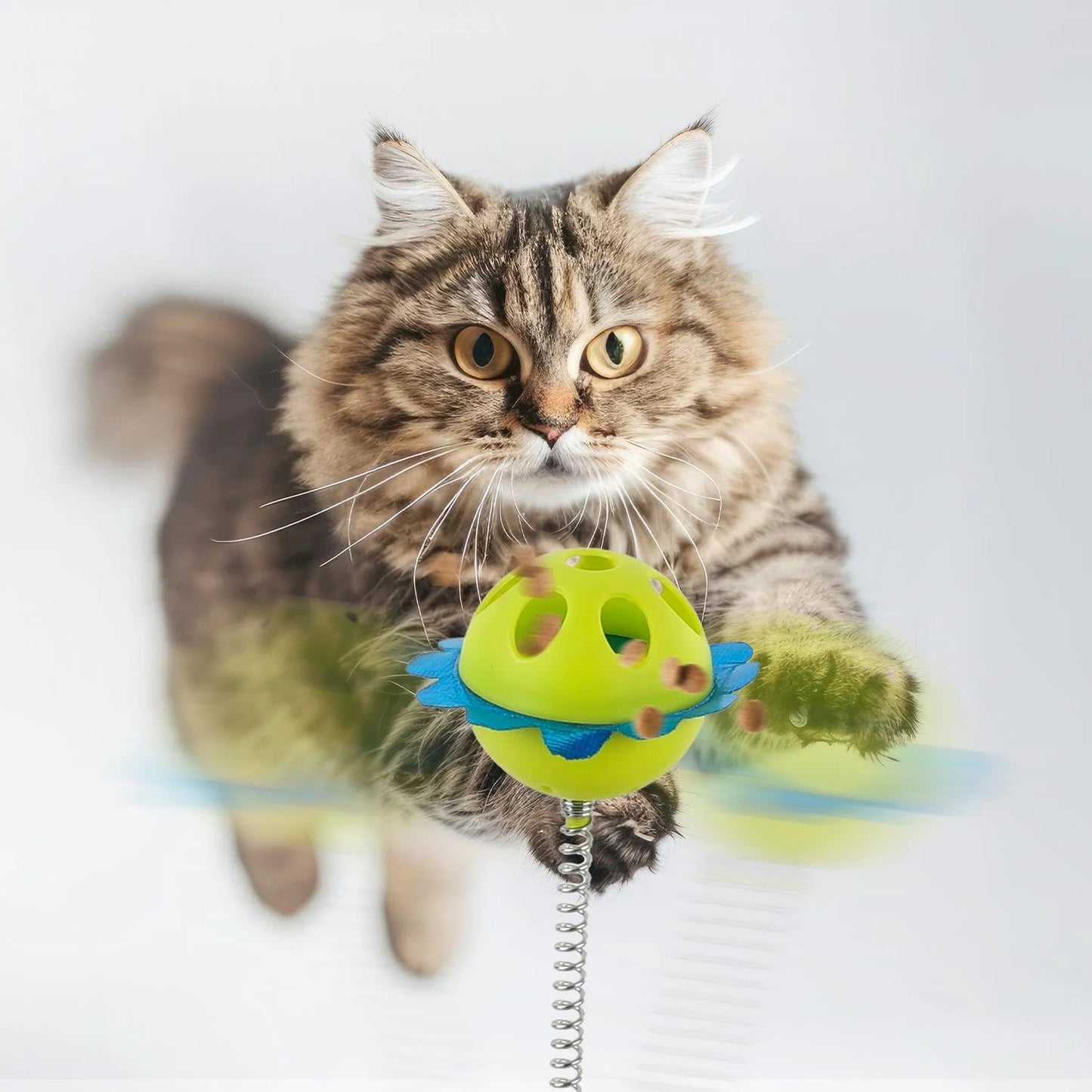 Interactive Food Puzzles For Cats