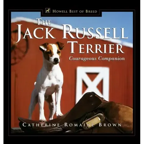 The Jack Russell Terrier: Courageous Companion