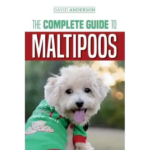 The Complete Guide to Maltipoos: Everything you need to know before getting your Maltipoo dog