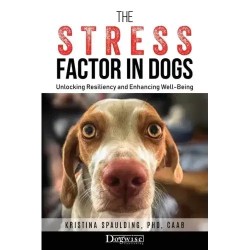 The Stress Factor in Dogs: Unlocking Resiliency and Enhancing Well-Being