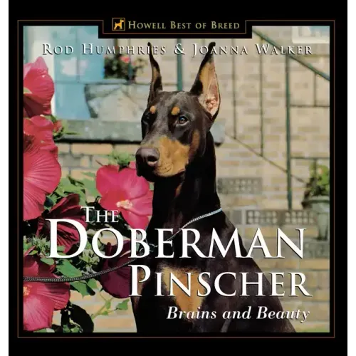 The Doberman Pinscher: Brains and Beauty