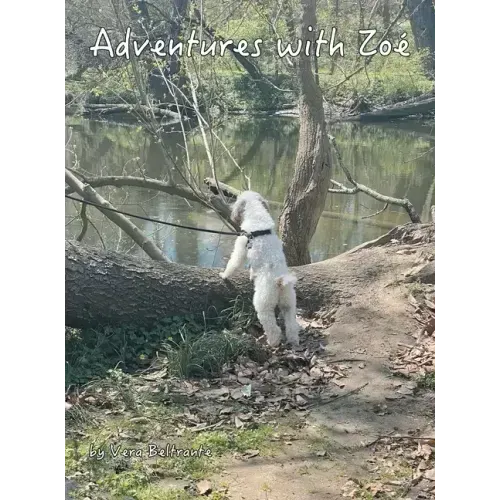 Adventures with Zoé