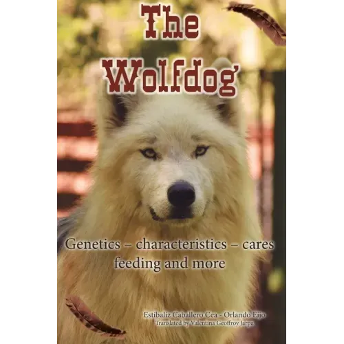 The Wolfdog: Genetics - characteristics - cares - feeding and more