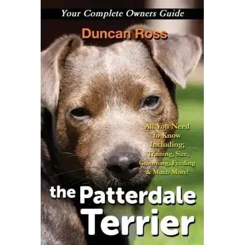 The Patterdale Terrier