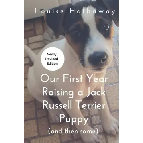 Our First Year Raising A Jack Russell Terrier (and then some)