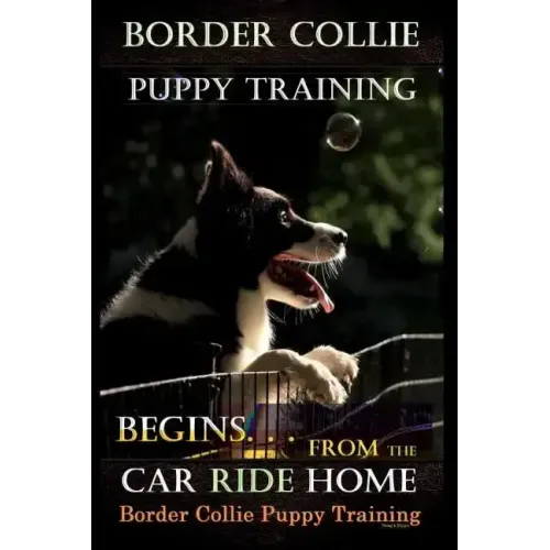 Border Collie Puppy Training Begins. . . From the Car Ride Home: Border Collie Puppy Training