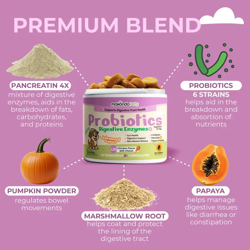 Probiotiques pour chiens - Enzymes digestives - 120 comprimés à croquer