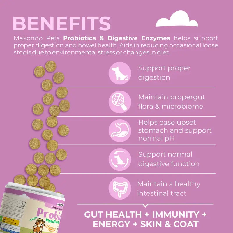 Probiotiques pour chiens - Enzymes digestives - 120 comprimés à croquer