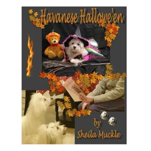 Havanese Hallowe'en