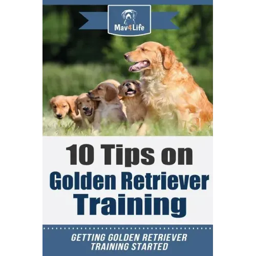10 Tips on Golden Retriever Training: Getting Golden Retriever Training Started!