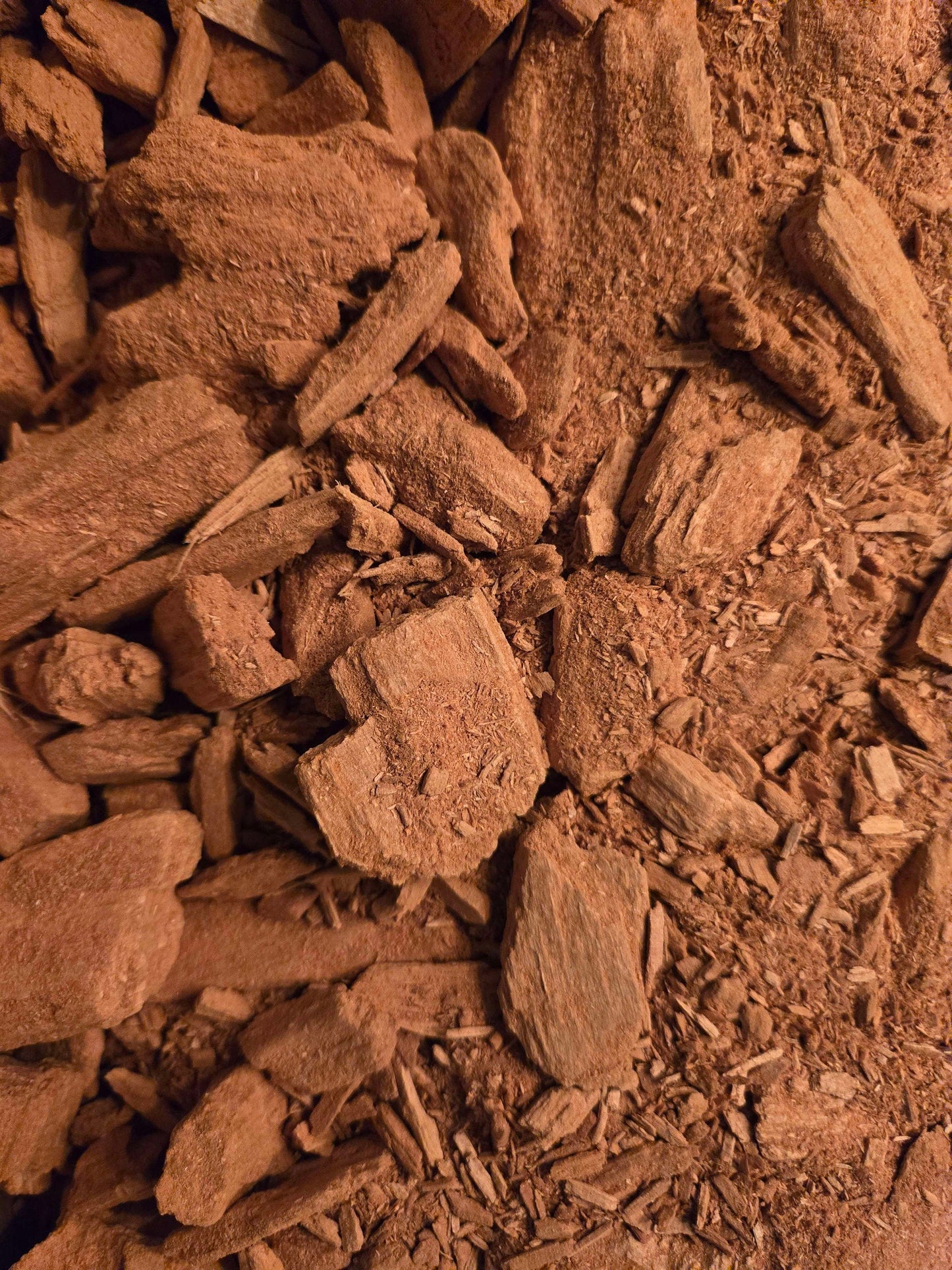 Premium White Rot Wood Bioactive Terrarium Food & Substrate Additive