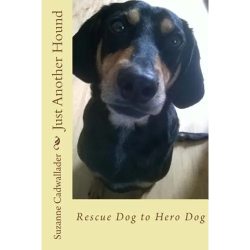 Just Another Hound: Rescue Dog to Hero Dog