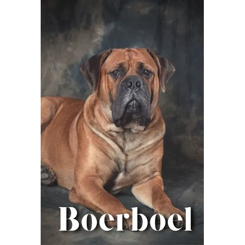 Boerboel: Dog breed overview and guide