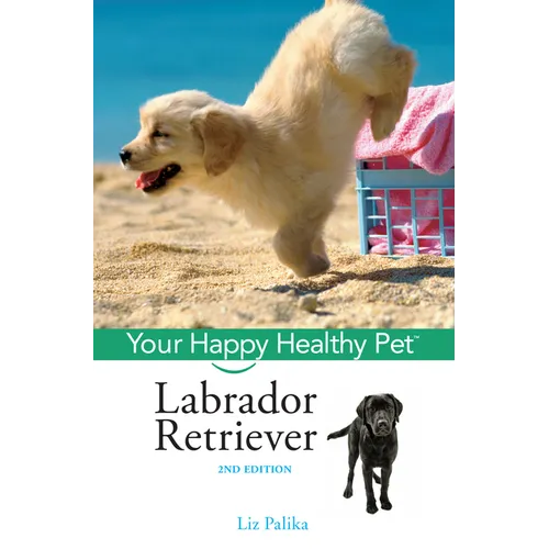 Labrador Retriever: Your Happy Healthy Pet