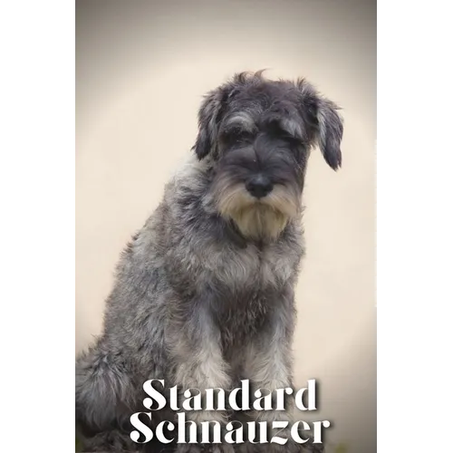 Standard Schnauzer: Dog breed overview and guide